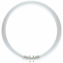 master-leuchtstofflampe-tl5-60w-840-circular-ring-neutralweiss-2gx13